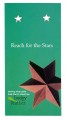 reach for the stars earrings