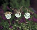 glow-in-the-dark garden critter pot stickers